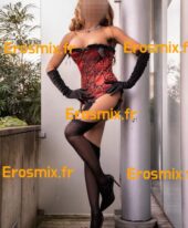 Biscuit_2025