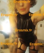Dom_arya