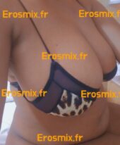 Croquante29