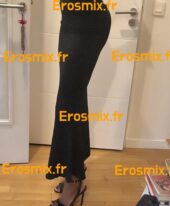 Domisakur