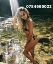 Dasha trans