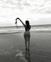Andrea latina