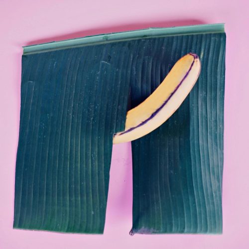 Tout ce que vous avez toujours voulu savoir sur la fellation